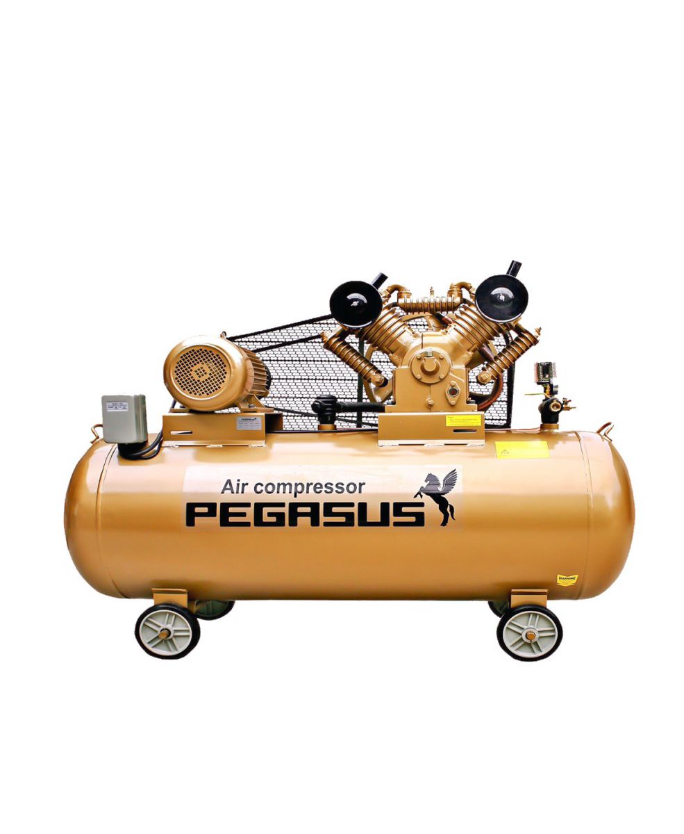 Hình ảnh máy nén khí Pegasus TM-V-1.05/12.5